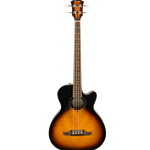 Acoustic-Electric Bass Guitars