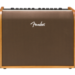 Acoustic 100 Amp