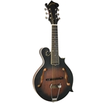 F-6: F-style Mando-Guitar with Pickup and Case
