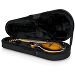 Gator Mandolin Lightweight Case