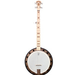 Goodtime Two Banjo w/Resonator