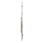 Apprentice Student Flute Outfit w/ Split E