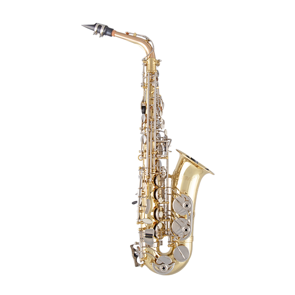 Selmer SAS301 Student Eb Alto Saxophone