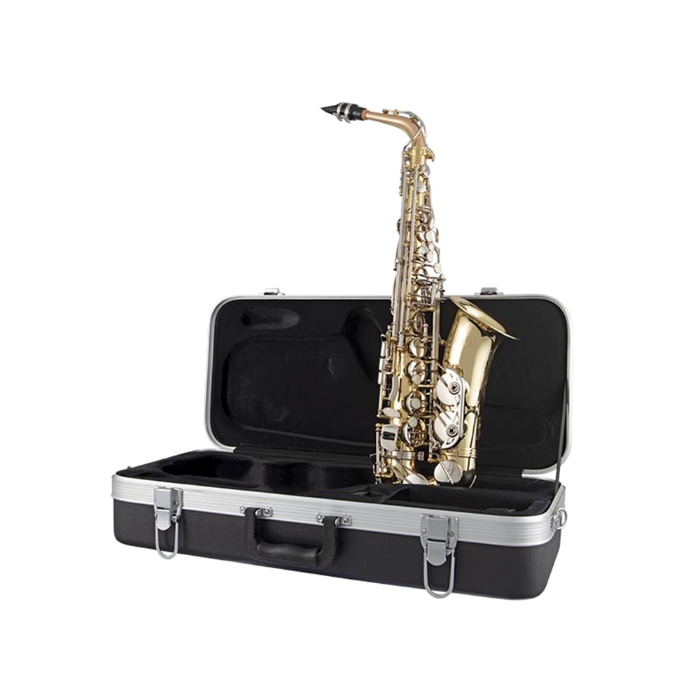 洋楽 D-Styles,Substance810 LP!!! Selmer SAS301 Student Eb Alto Saxophone