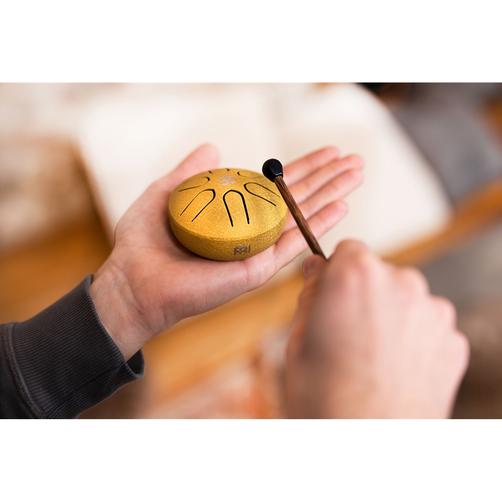 Meinl Sonic Energy Pocket Steel Tongue Drum, A Major, Gold