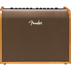 Acoustic 100 Amp