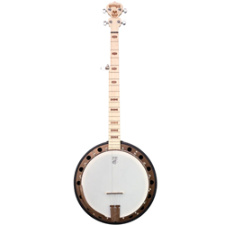 Goodtime Two Banjo w/Resonator