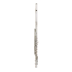 Apprentice Student Flute Outfit w/ Split E